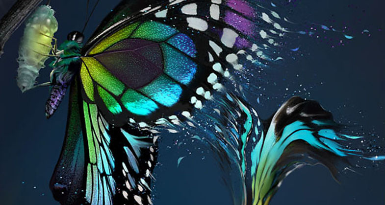 Adobe Premiere Pro CC