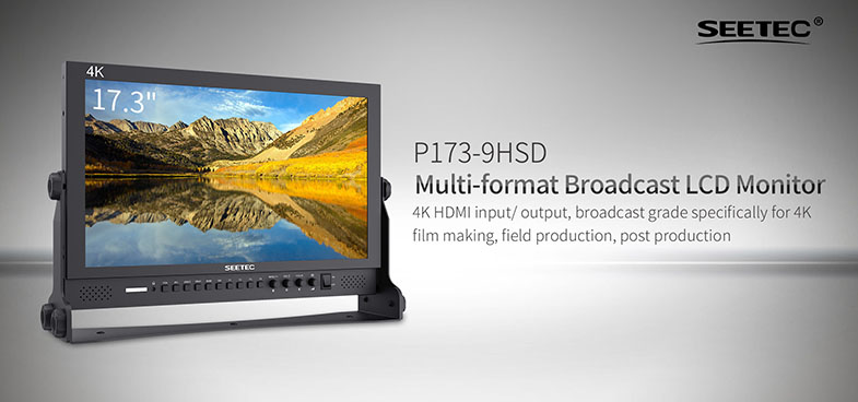 Feelworld Seetec P173-9HSD