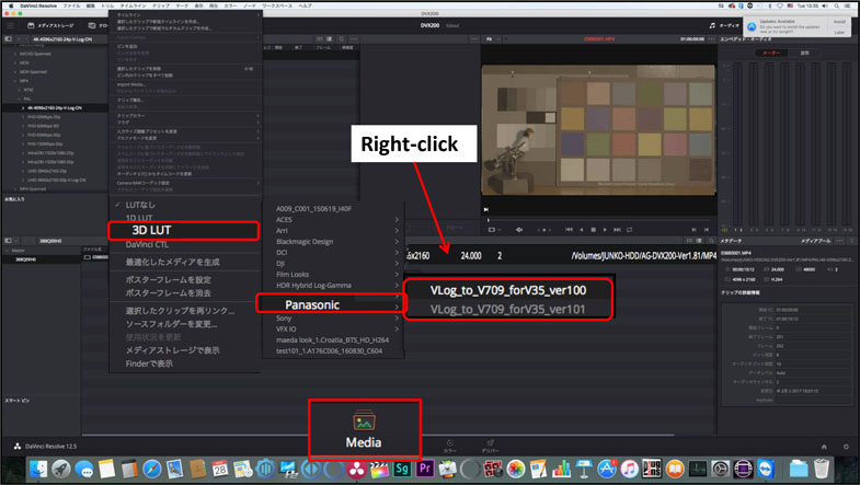 Blackmagic Design DaVinci Resolve 3D LUT Panasonic DVX200