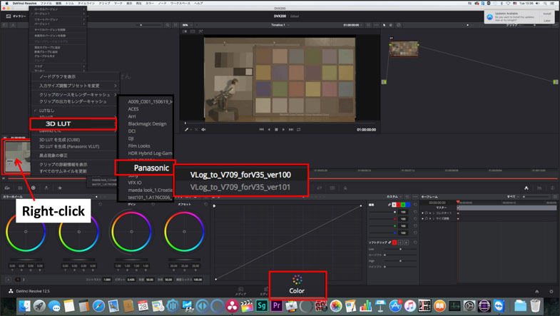 Blackmagic Design DaVinci Resolve 3D LUT Panasonic DVX200