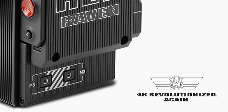 RED RAVEN
