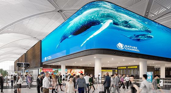 Blackmagic Design HyperDeck Extreme 8K HDR