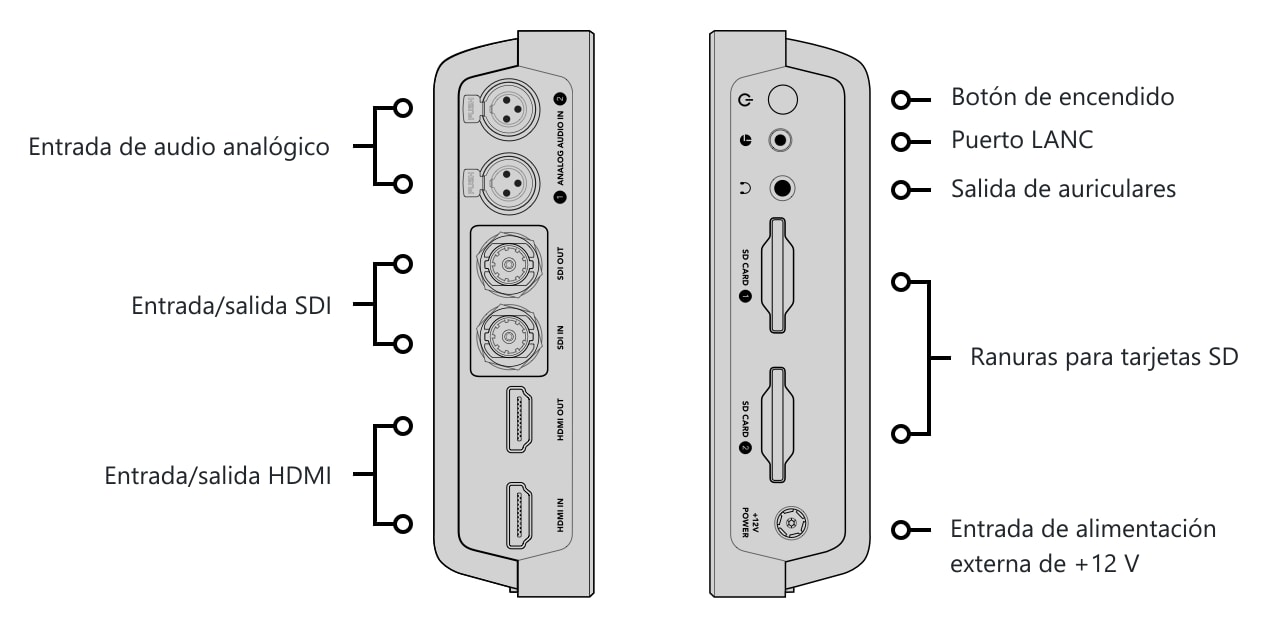 Video Assist 7″ 3G – Conexiones