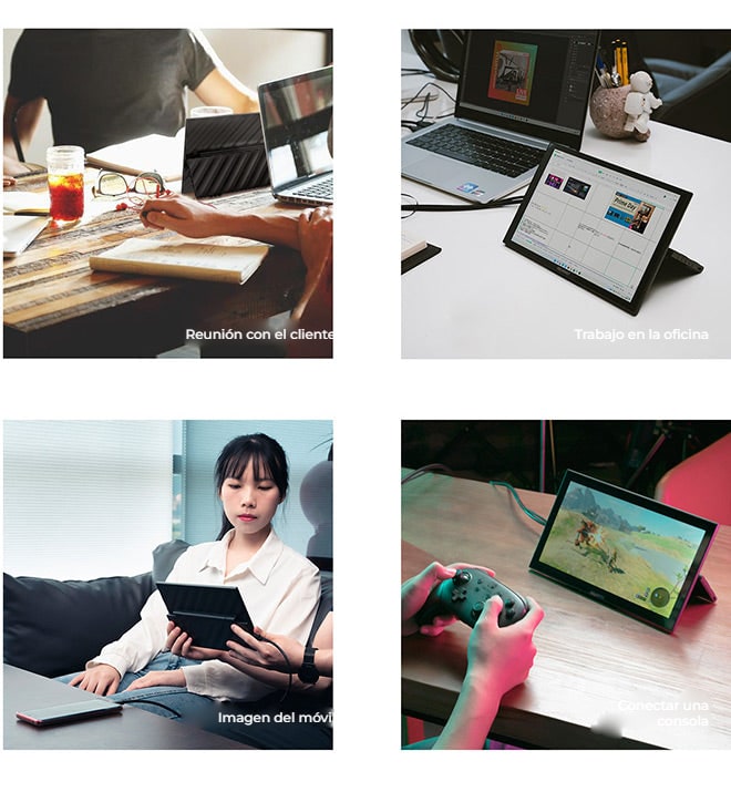 FEELWORLD DH101