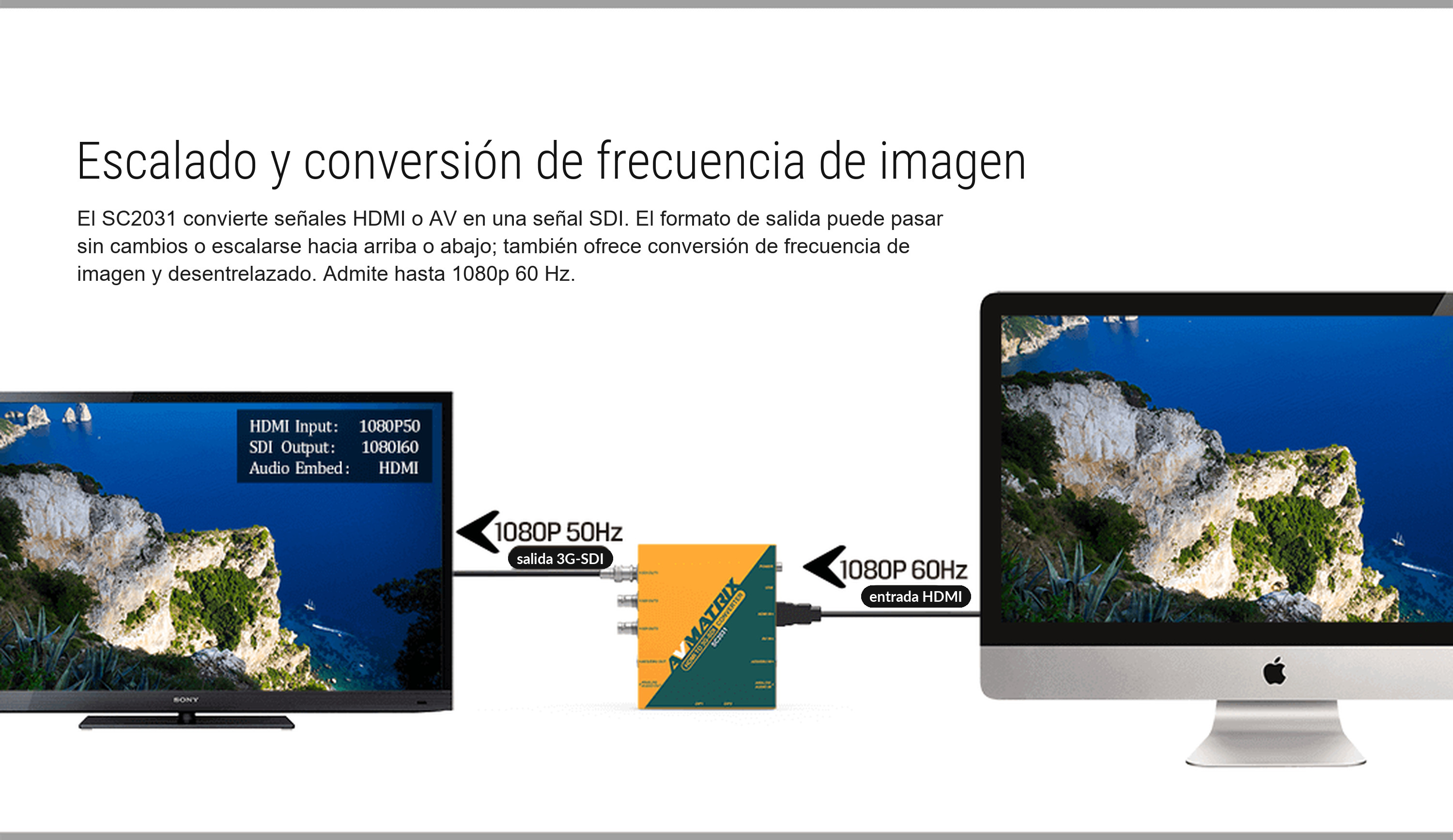 AVMATRIX SC2031 – infografía