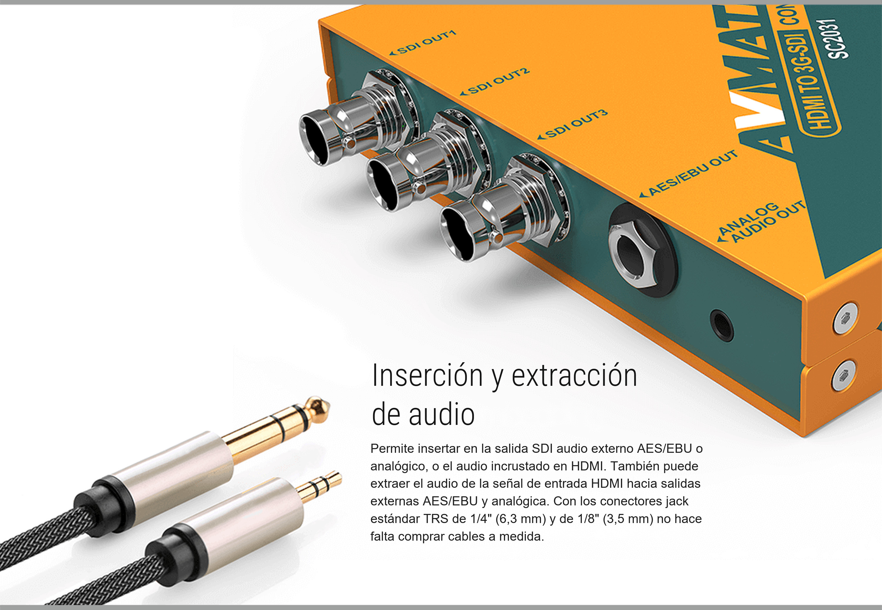 AVMATRIX SC2031 – infografía
