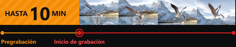 Blackmagic PYXIS 6K (L-Mount) – Pregrabación de hasta 10 minutos