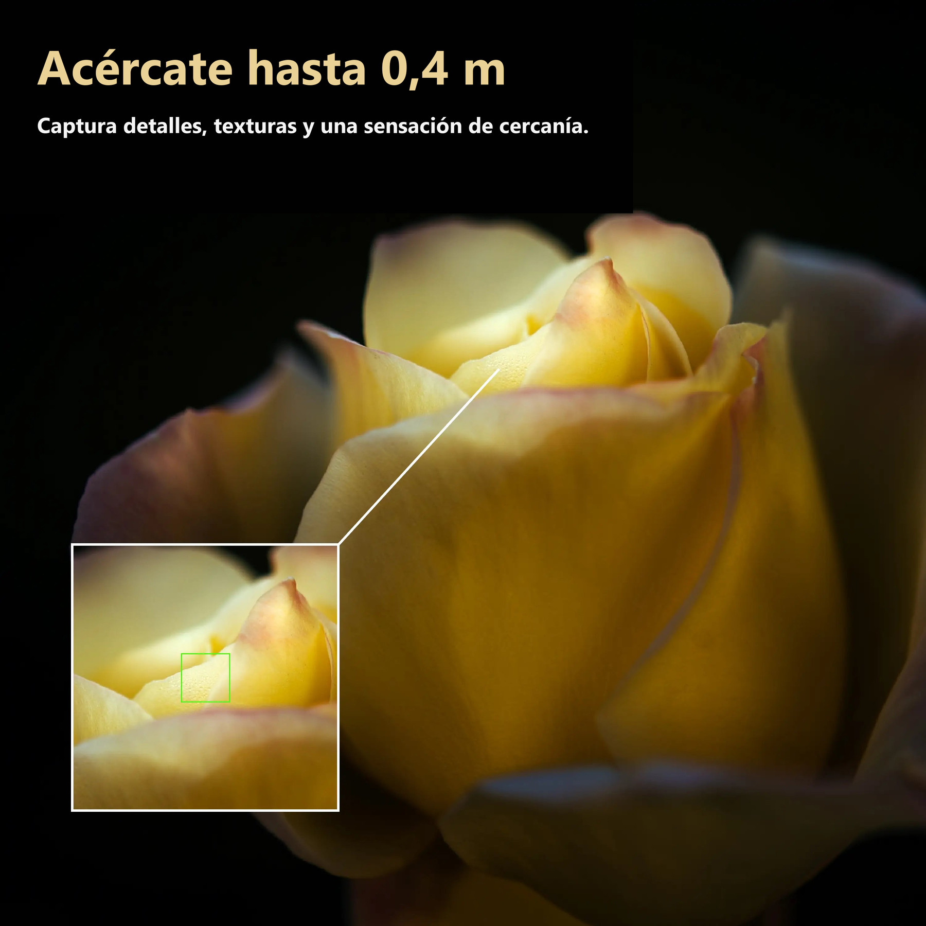 Simera 28 mm – oficiální ukázka minimálního zaostření 0,4 m