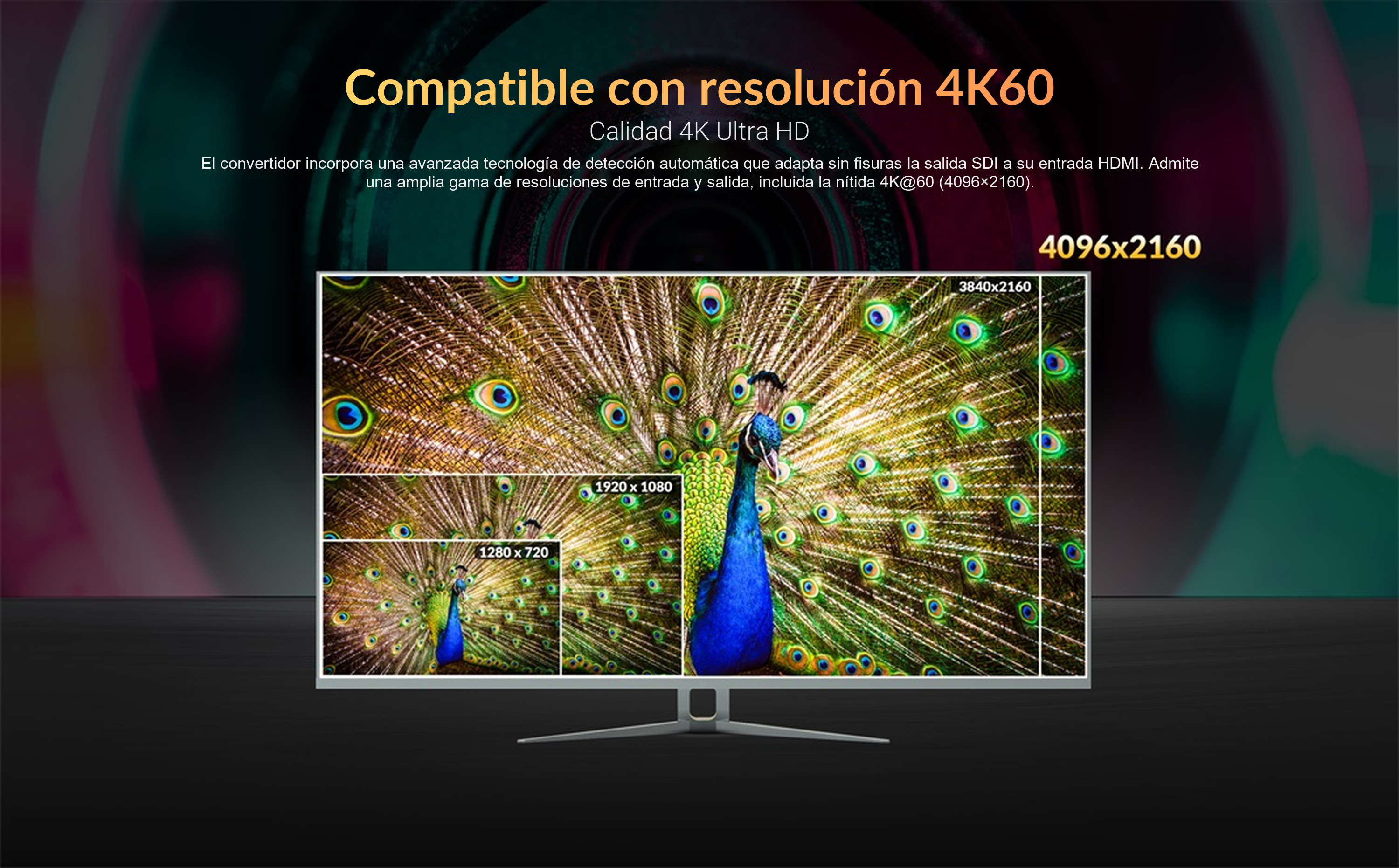 AVMATRIX SC1221-12G – infografía