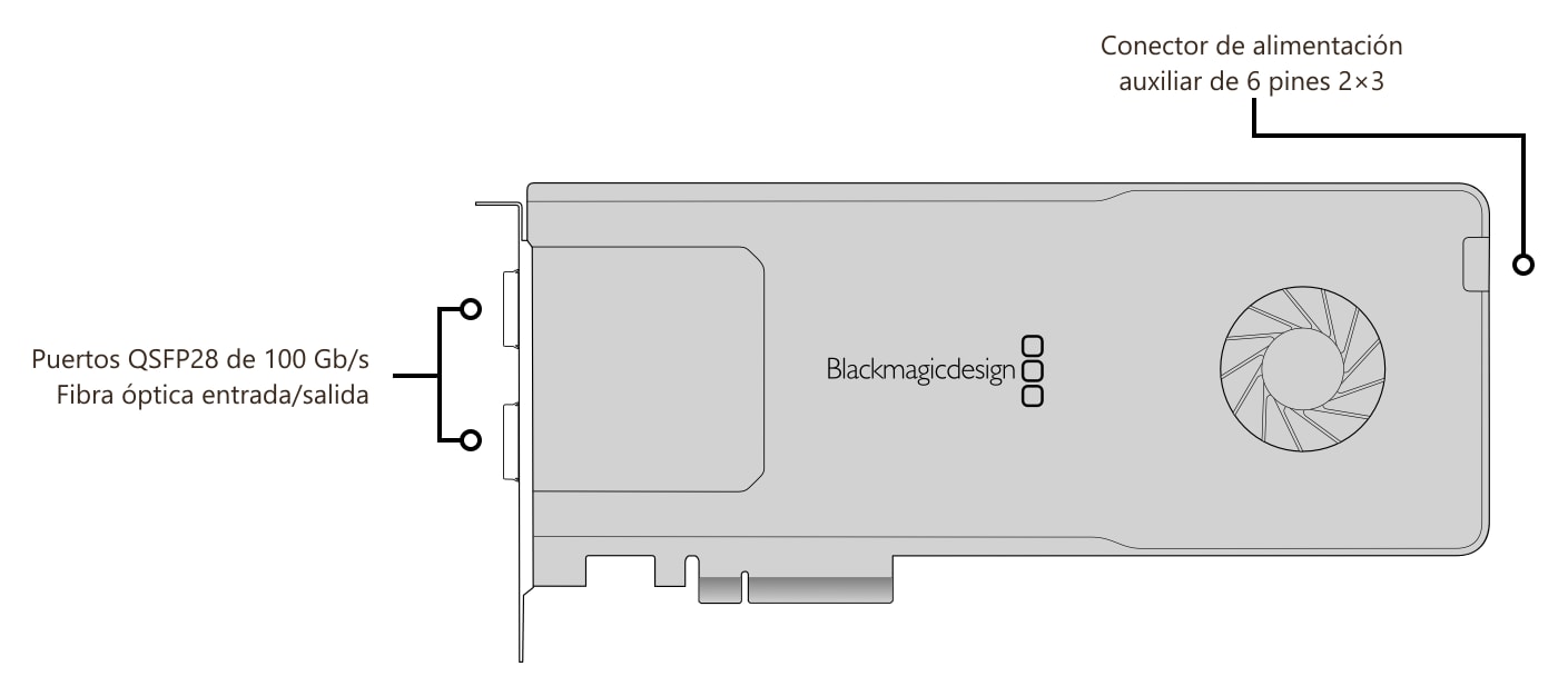DeckLink IP 100G – Conectores