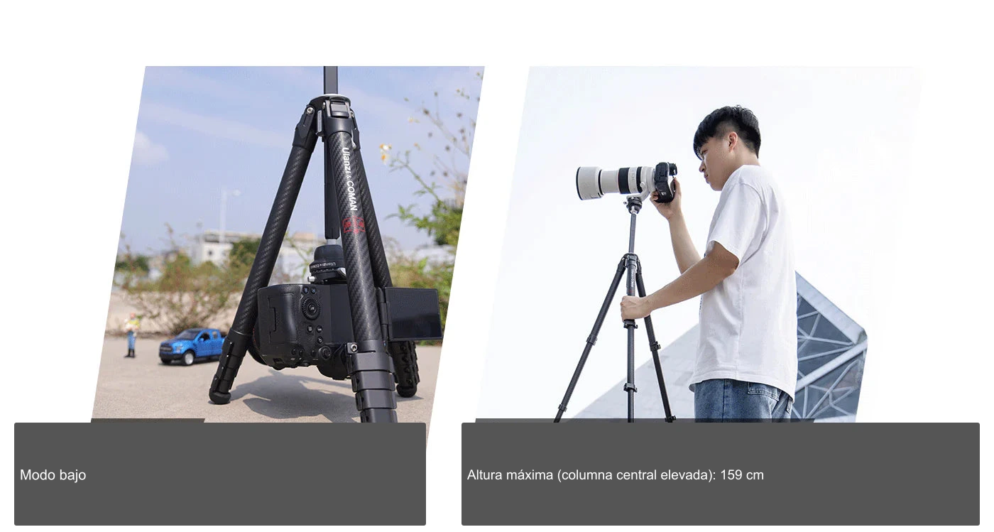 Modo bajo: 180 mm (7,0") – Altura máxima (columna central elevada): 1590 mm (62,6")