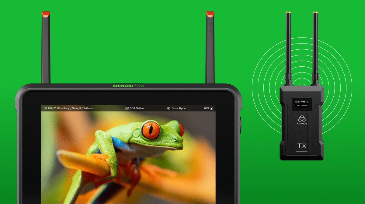 Atomos Shinobi 7 RX con transmisor inalámbrico Atomos TX
