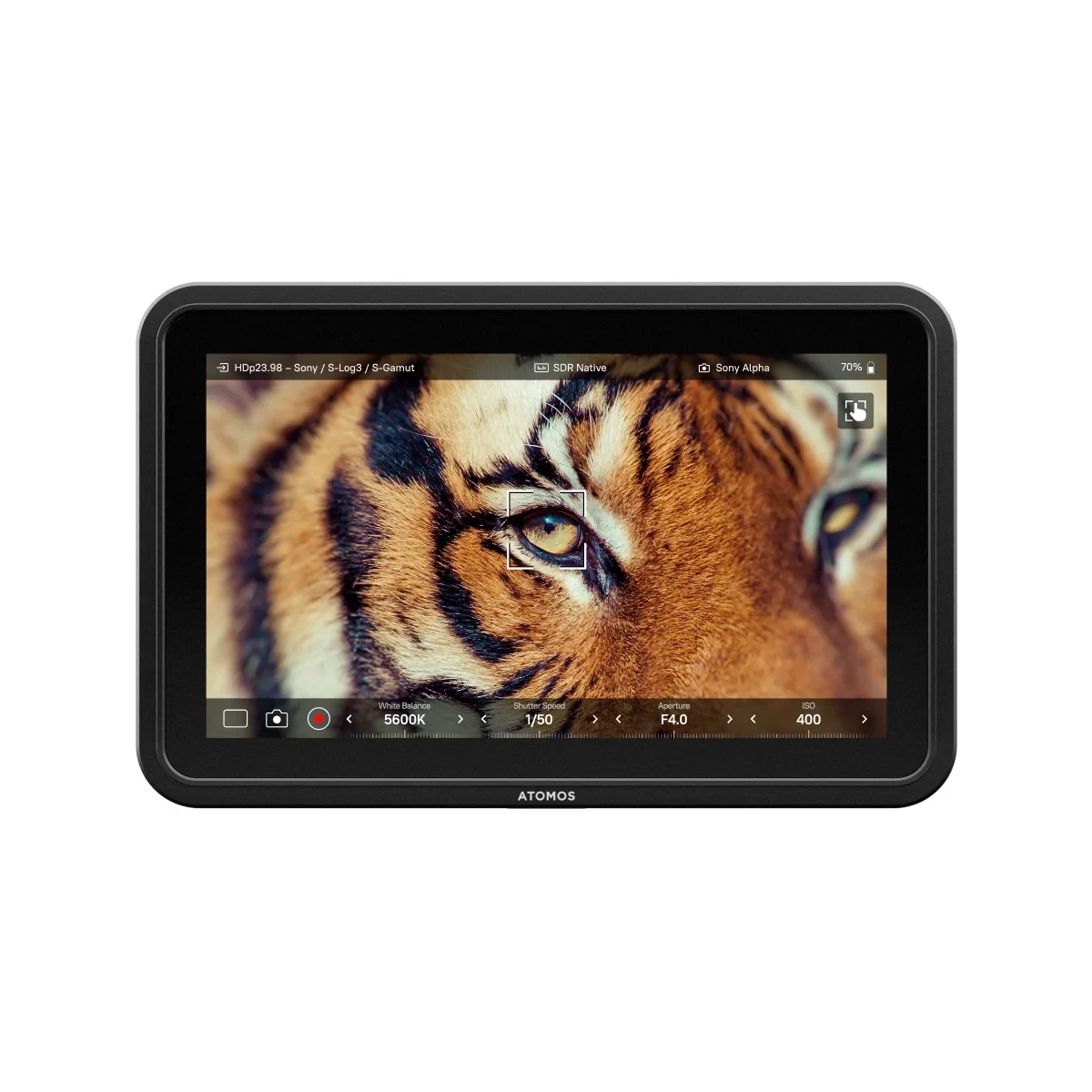 Monitor HDR de 7 pulgadas Atomos Shinobi 7 II