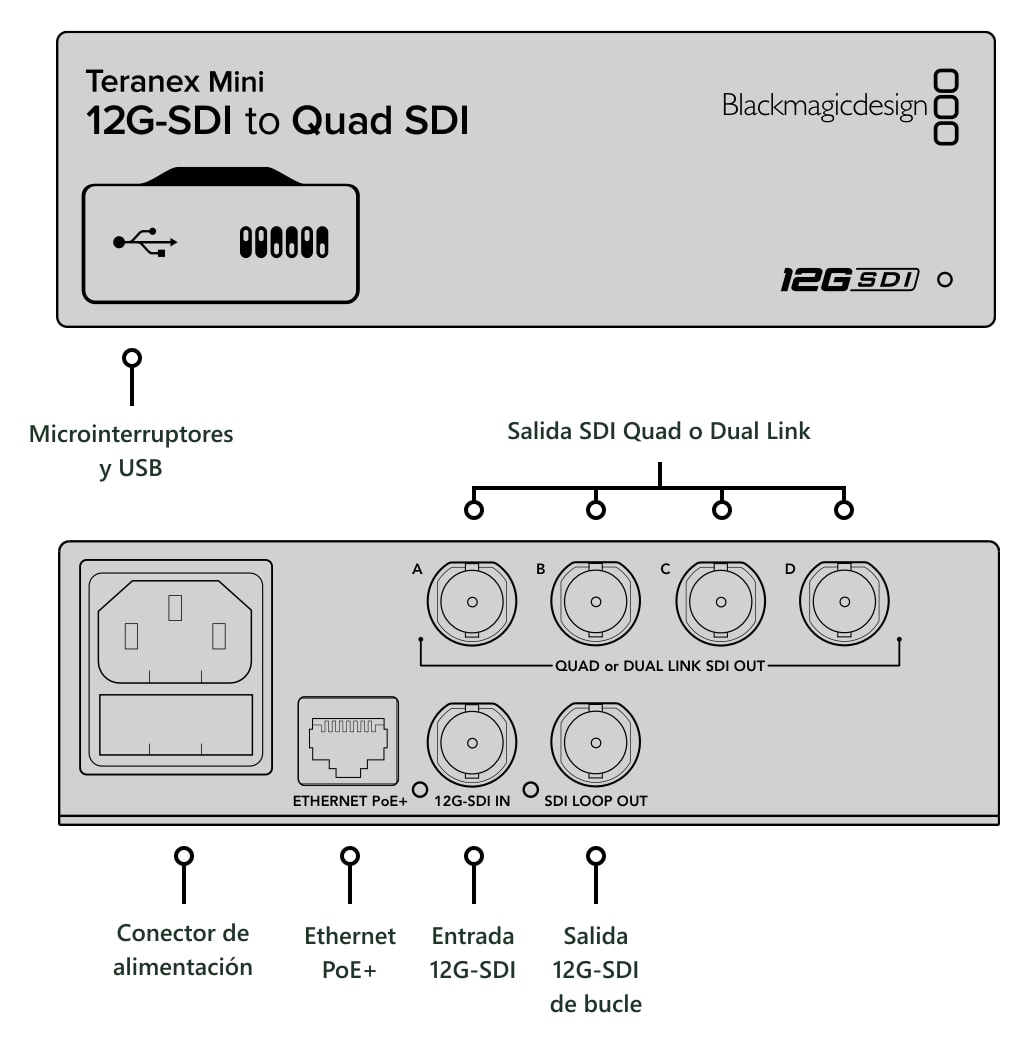 Teranex Mini 12G-SDI to Quad SDI – Conexiones