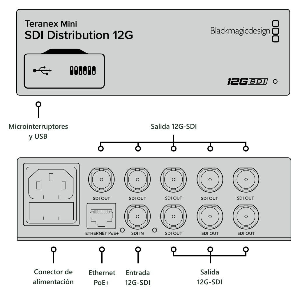Teranex Mini SDI Distribution 12G – Conexiones