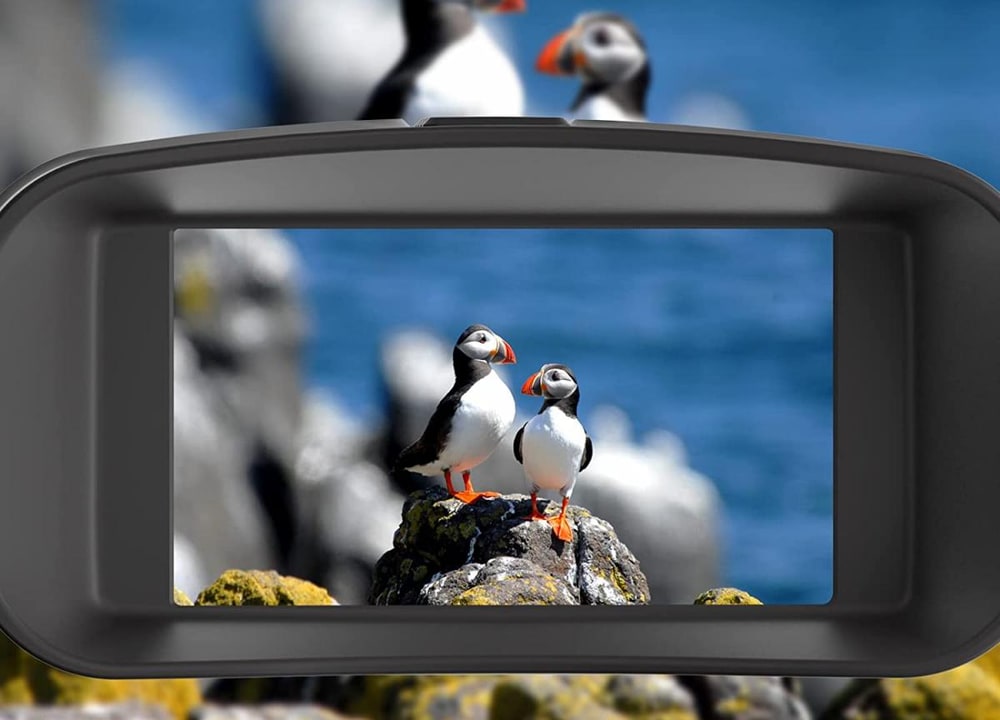 Una pantalla grande en lugar de oculares