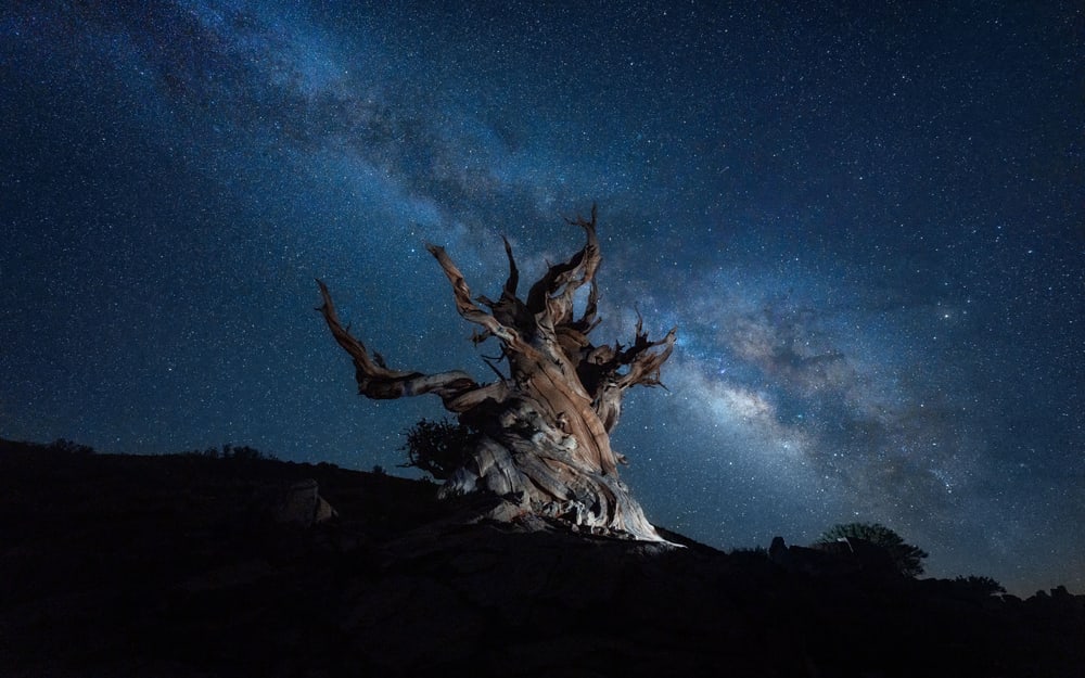 Cielos nocturnos nítidos hasta las esquinas