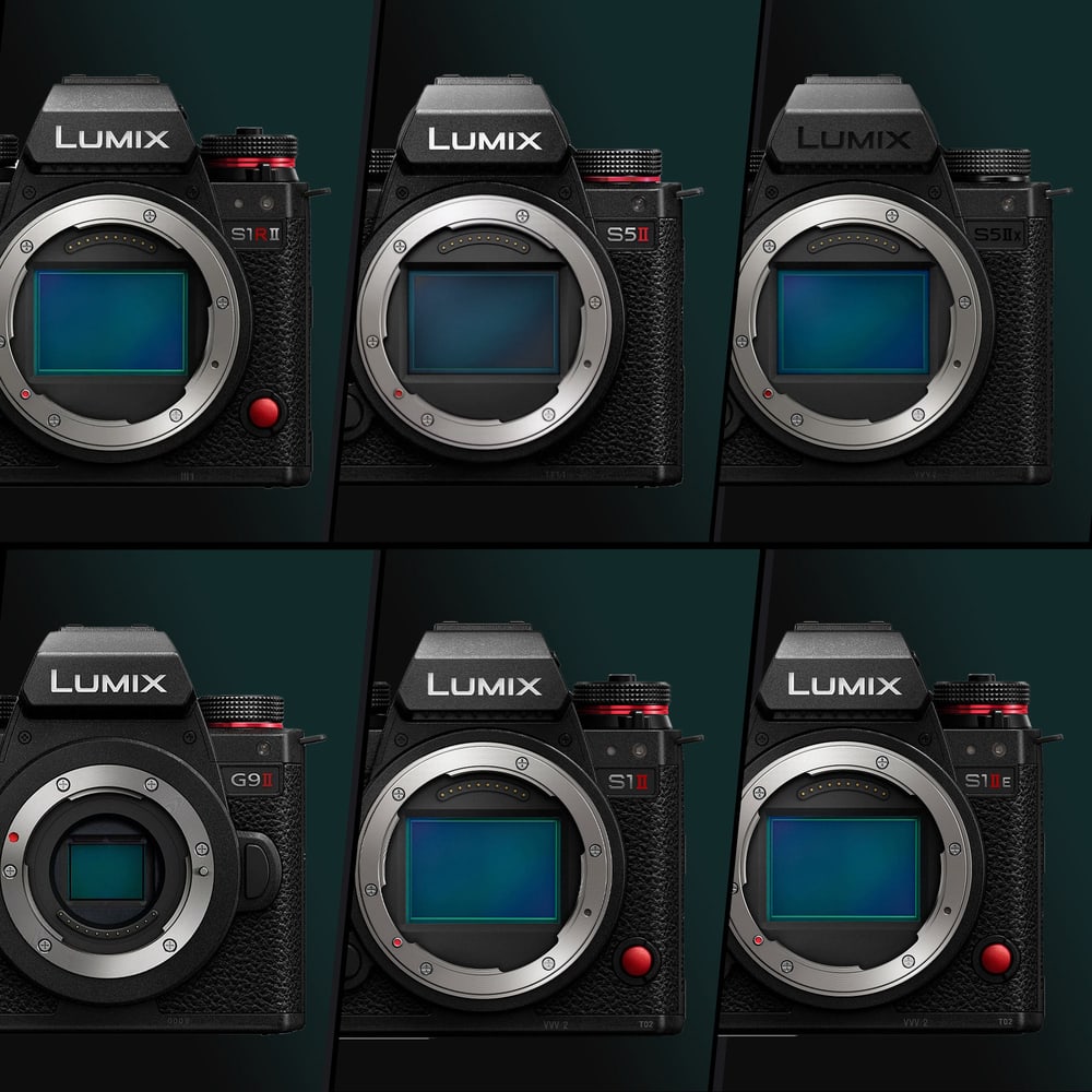 Seis cuerpos Lumix, una jaula